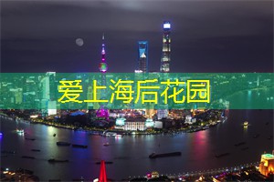 上海品茶网：从传统到现代，上海茶庄的变迁